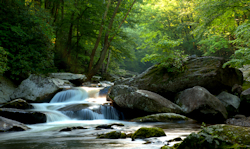 Mountain Stream
